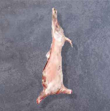 Alp-Et Kuzu Bütün Alp-Et Kuzu Bütün